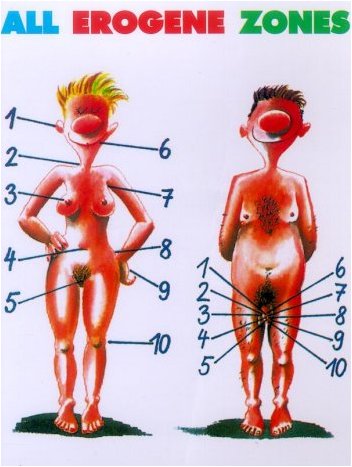 All erogene zones.jpg